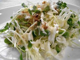 付け合せに☆千切キャベツと貝割れと鰹節