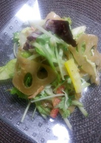 れんこんの金平と彩り野菜のサラダ