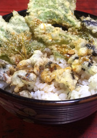 コオロギとスズメバチの天ぷら丼