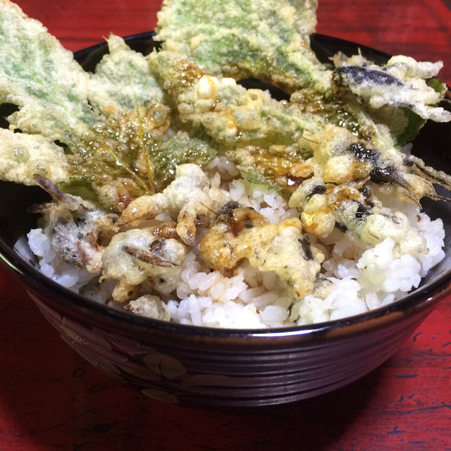 コオロギとスズメバチの天ぷら丼 レシピ 作り方 By ほいの クックパッド