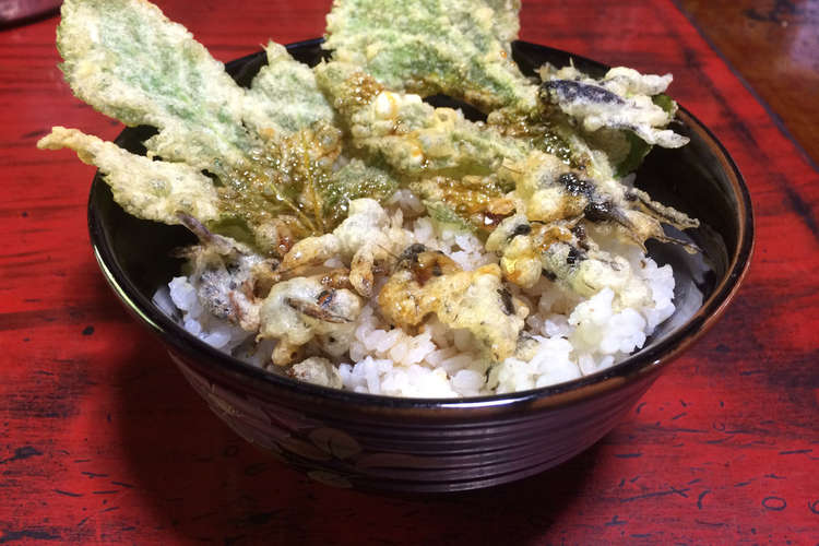 コオロギとスズメバチの天ぷら丼 レシピ 作り方 By ほいの クックパッド 簡単おいしいみんなのレシピが372万品