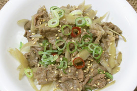 簡単♪牛肉とごぼうのピリ辛牛丼