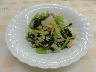 小松菜とツナの和え物の写真