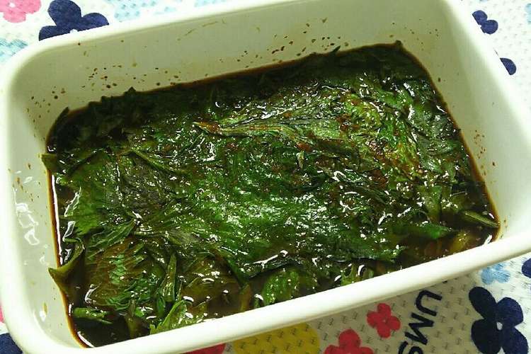 大量消費 青じその醤油漬け レシピ 作り方 By 農園の食卓 クックパッド 簡単おいしいみんなのレシピが351万品