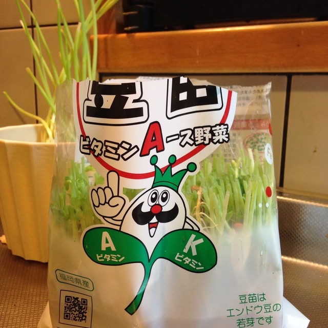 豆苗育て方 レシピ 作り方 By 嫁しゃん クックパッド 簡単おいしいみんなのレシピが358万品 豆苗育て方 レシピ 作り方 By 嫁しゃん クックパッド 簡単おいしいみんなのレシピが358万品