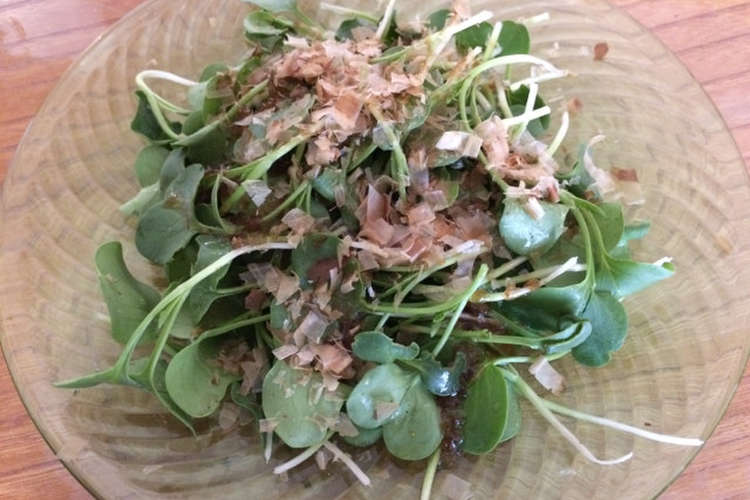 大根の間引き菜のサラダ レシピ 作り方 By スティ ブ クックパッド 簡単おいしいみんなのレシピが358万品