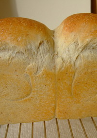 初めてのレーズン酵母作り＆食パン