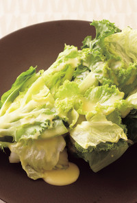 リーフレタスと白菜のサラダ