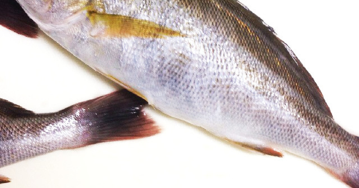 飛び散らない 魚の鱗取り レシピ 作り方 By T25 クックパッド 簡単おいしいみんなのレシピが371万品