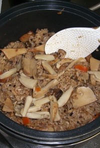本松茸と白松茸（モミタケ）の炊き込みご飯