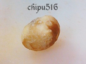 簡単 栗の剥き方 改訂版
