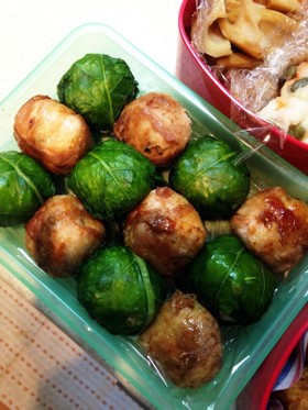 肉&野沢菜巻きおにぎり