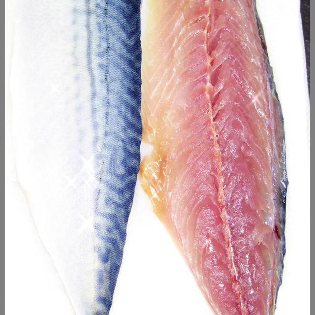 肴鯖鯵鯛鰯鮭鮪鮨 魚の三枚おろしの基本 レシピ 作り方 By しるびー１９７８ クックパッド 簡単おいしいみんなのレシピが354万品
