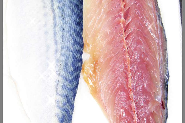 肴鯖鯵鯛鰯鮭鮪鮨 魚の三枚おろしの基本 レシピ 作り方 By しるびー１９７８ クックパッド