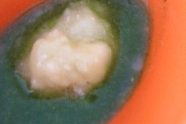 3step 離乳食初期法蓮草バナナ白菜粥 レシピ 作り方 By あいみ クックパッド 簡単おいしいみんなのレシピが355万品