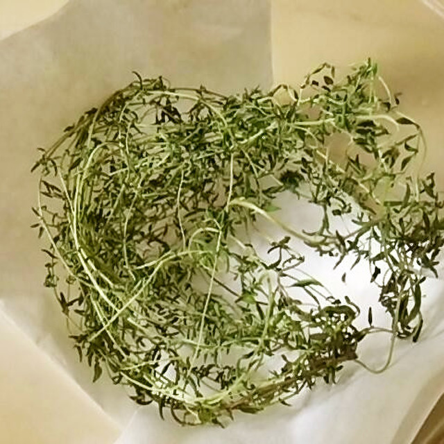 レンジで乾燥 簡単なハーブの保存の仕方 レシピ 作り方 By ポテチ犬 クックパッド レンジで乾燥 簡単なハーブの保存の仕方 レシピ 作り方 By ポテチ犬 クックパッド
