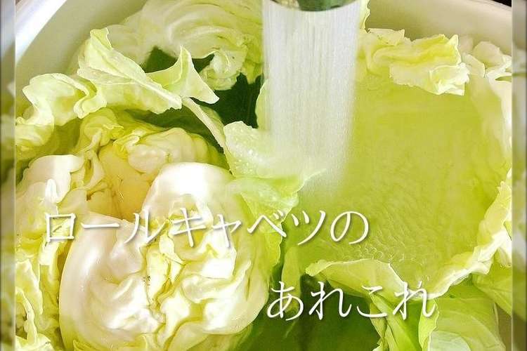 ロールキャベツ キャベツの外し方 巻き方 レシピ 作り方 By どんぴんたん クックパッド 簡単おいしいみんなのレシピが361万品