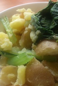 【血圧下げる】簡単！芋と小松菜サラダ
