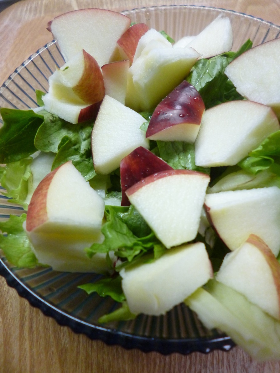 レタスとリンゴのサラダの画像