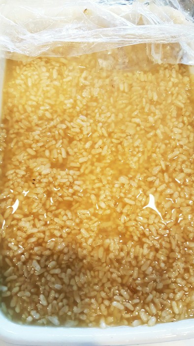 玄米塩麹の写真