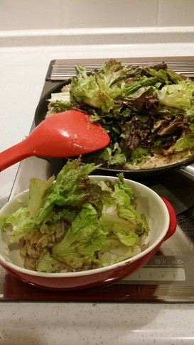 レタスたっぷり☆簡単フライパンビビンバ!