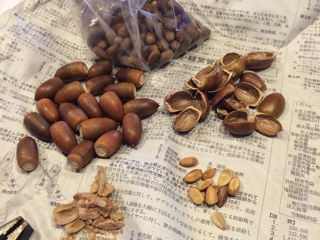 簡単どんぐりの食べ方 椎の実の食べ方 レシピ 作り方 By たむなか クックパッド 簡単どんぐりの食べ方 椎の実の食べ方 レシピ 作り方 By たむなか クックパッド