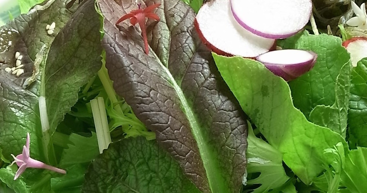 からし菜スープのレシピ