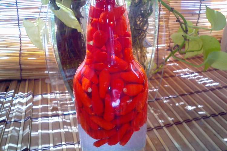 沖縄じゃなくても唐辛子の焼酎漬け レシピ 作り方 By マグマねーさんスペシャル クックパッド 簡単おいしいみんなのレシピが358万品