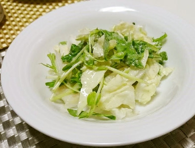 白菜と水菜のサラダの写真