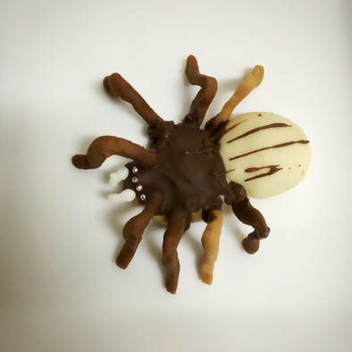 ハロウィンにも！リアル蜘蛛クッキーの写真