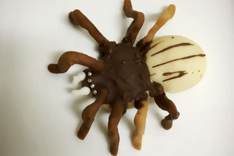 ハロウィンにも リアル蜘蛛クッキー レシピ 作り方 By ワガママキッチン クックパッド 簡単おいしいみんなのレシピが365万品