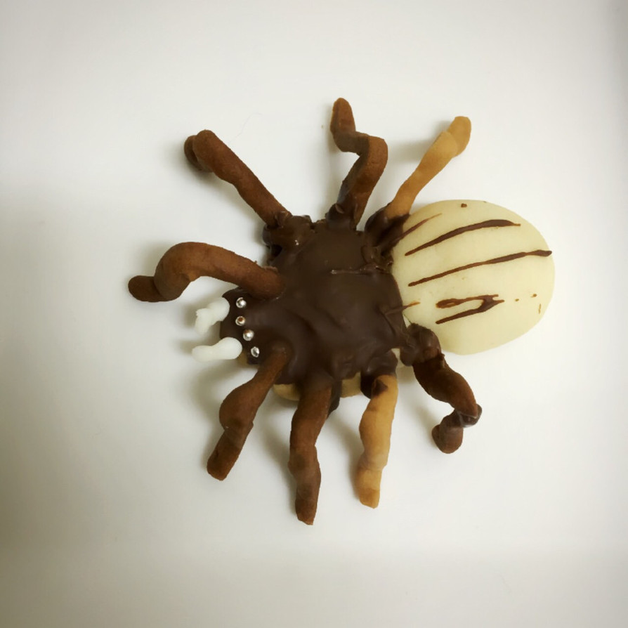 ハロウィンにも！リアル蜘蛛クッキーの画像