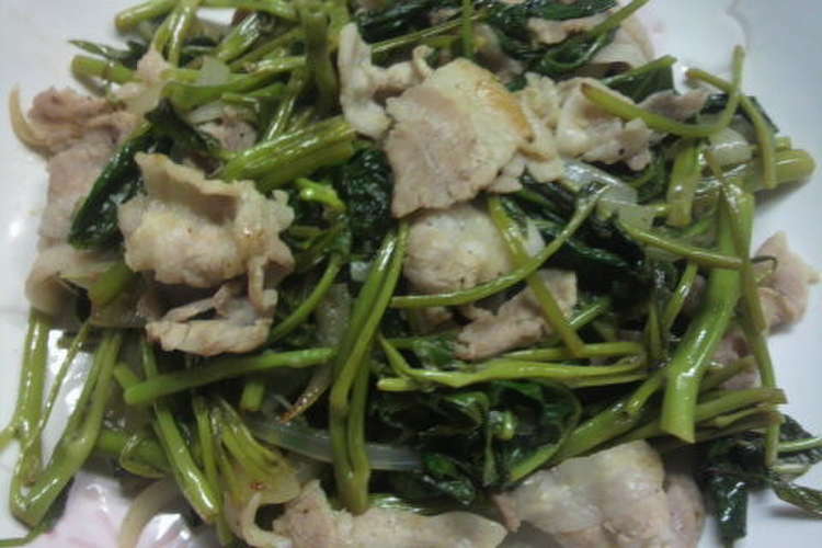 塩カボス利用 豚肉と空芯菜の炒め物 レシピ 作り方 By チビミケ クックパッド 簡単おいしいみんなのレシピが350万品