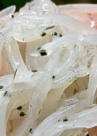 みんなが作ってる 白魚 なまのレシピ クックパッド 簡単おいしいみんなのレシピが362万品