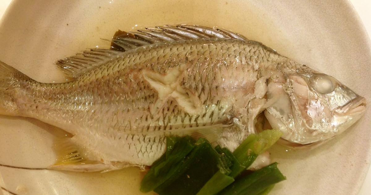キビレってどんな魚 チヌとの違い 人気レシピ 釣り方 さばき方を解説 釣りラボマガジン