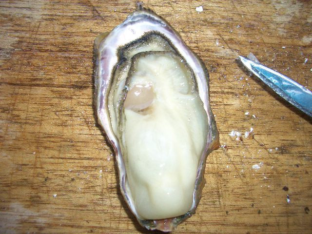 殻付き牡蠣の開け方の画像