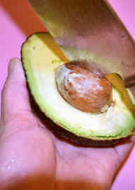 みんなが作ってる アボカドの種のレシピ クックパッド 簡単おいしいみんなのレシピが373万品