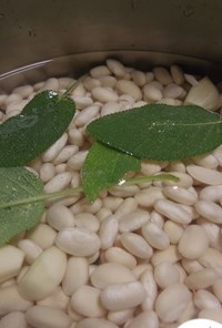 トスカーナ発　白いんげん豆の煮方