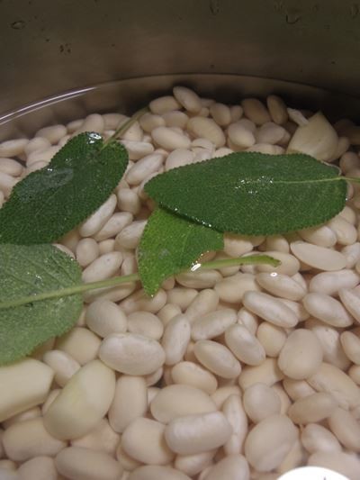 トスカーナ発　白いんげん豆の煮方の画像
