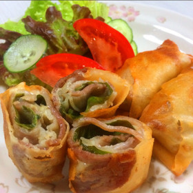 おかず、おつまみに♪豚しそチーズ春巻き☆