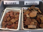 土器型クッキー「Dokkieドッキ—」の写真
