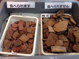 土器型クッキー「Dokkieドッキ—」