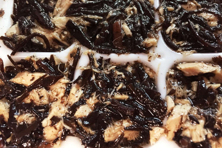 離乳食 後期前半 まぐろとひじき レシピ 作り方 By Snow Mama クックパッド 簡単おいしいみんなのレシピが373万品