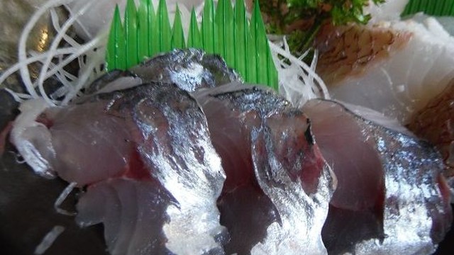 釣ったサバを捌いてお刺身 レシピ 作り方 By はなまる部長 クックパッド