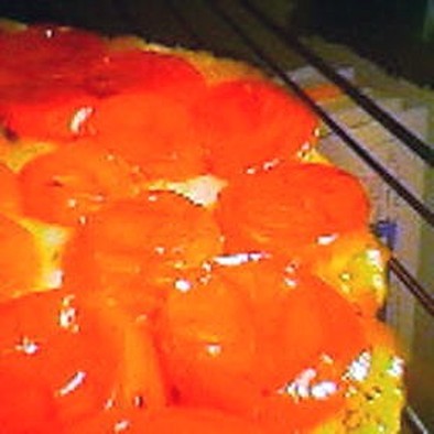 トマトのタタンの写真