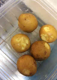 みんなが作ってる 小さいじゃがいものレシピ クックパッド 簡単おいしいみんなのレシピが354万品