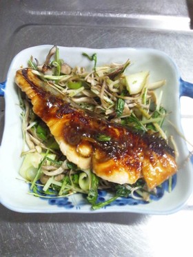 5月12日晩飯【鰆の味噌焼き】