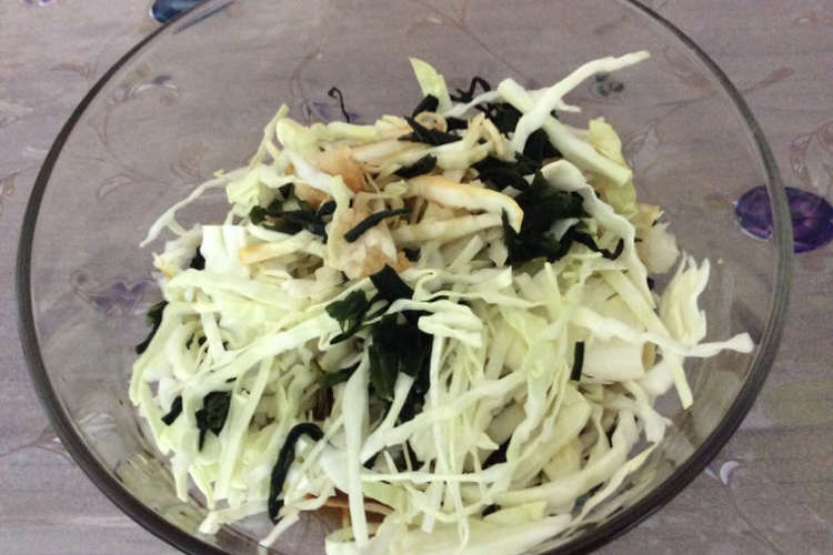 胃もたれに キャベツと大根おろしのサラダ レシピ 作り方 By 食いしん坊yuri クックパッド 簡単おいしいみんなのレシピが365万品
