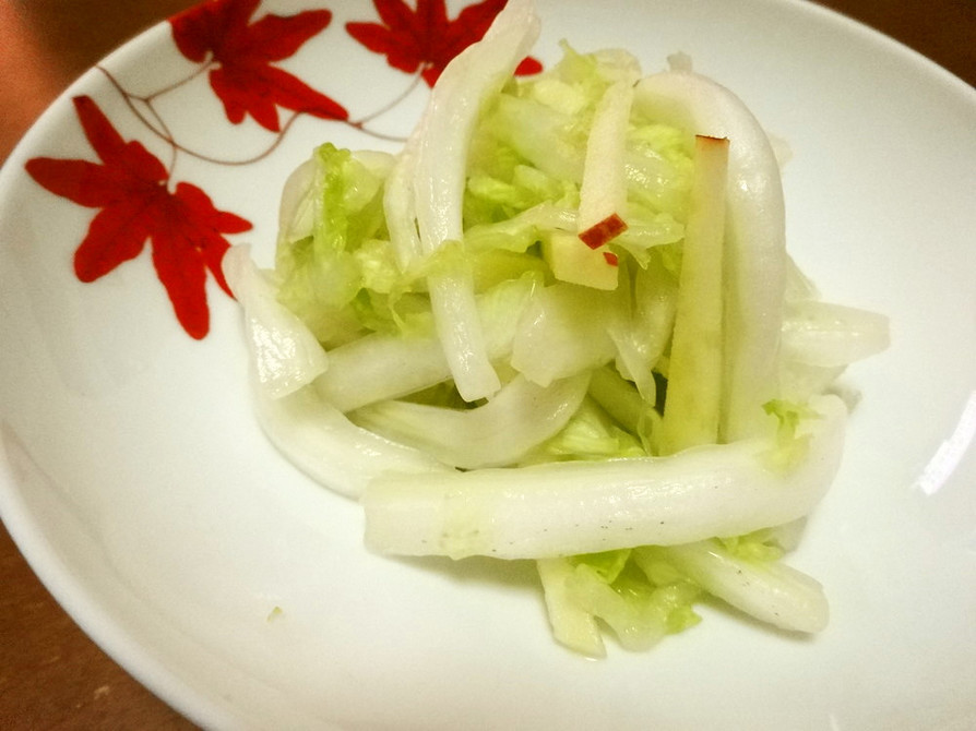 白菜とリンゴのサラダ風の画像