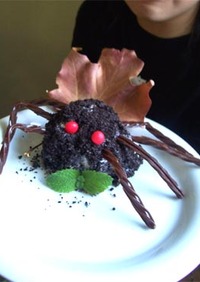 Witch's  Spider　Cake